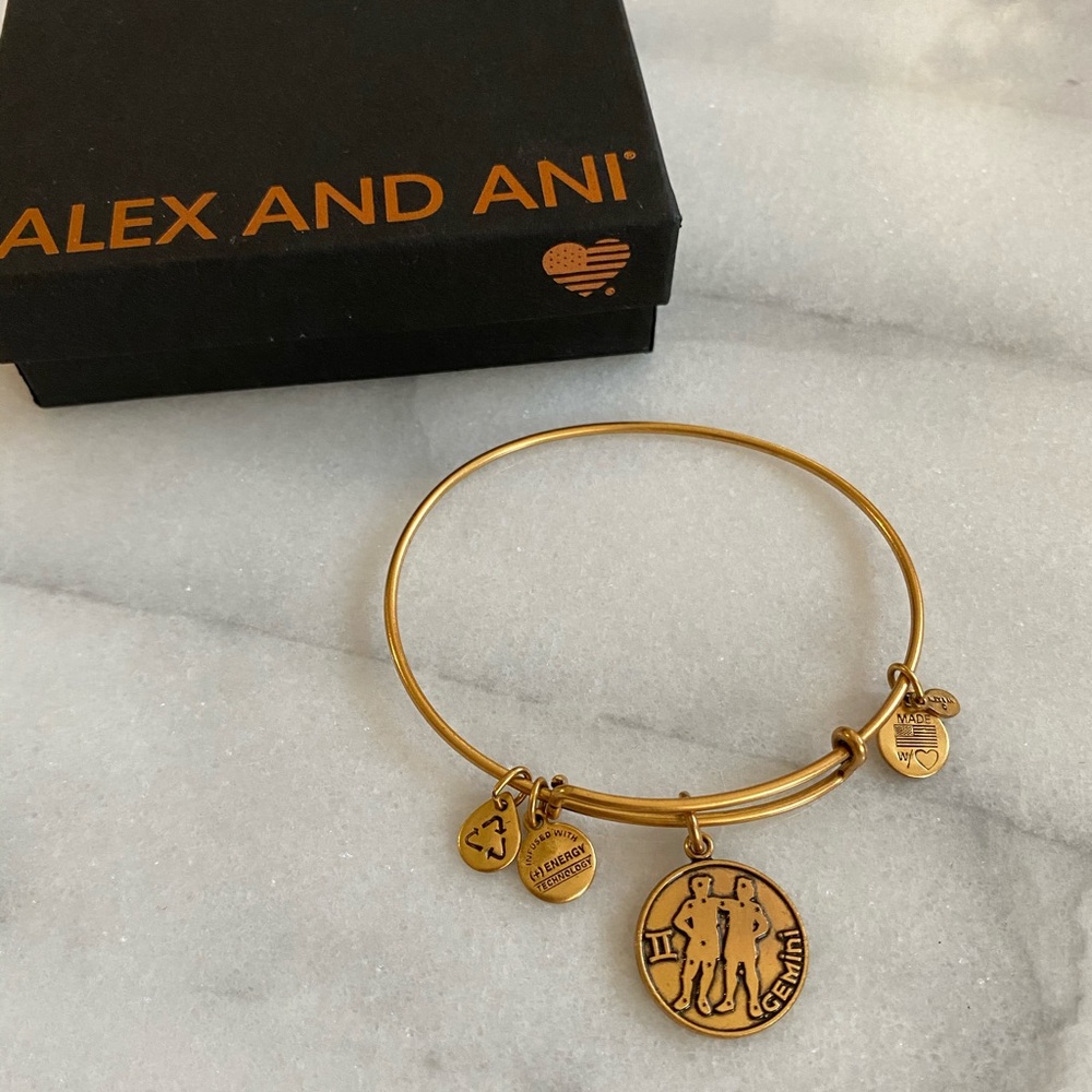 Alex And Ani Gold Gemini Charm Bangle